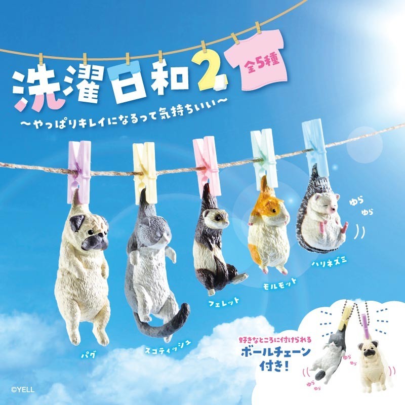 洗濯日和2