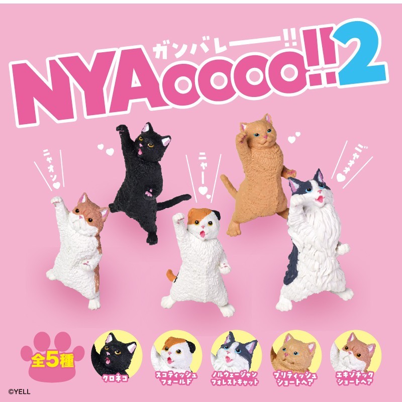 ＮＹＡＯＯＯＯ！！２