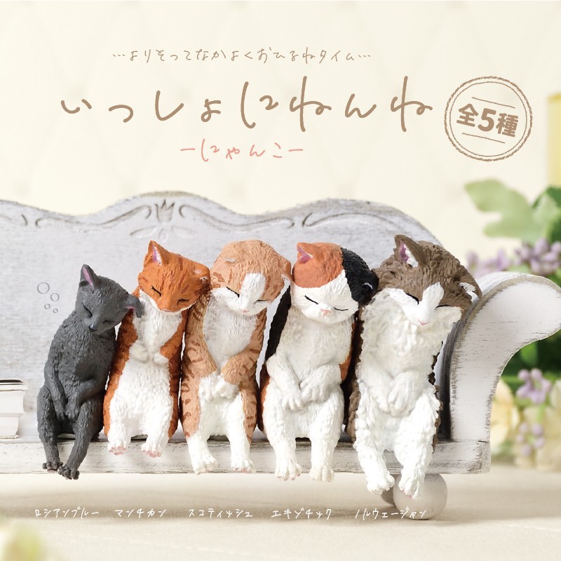 いっしょにねんね　にゃんこ