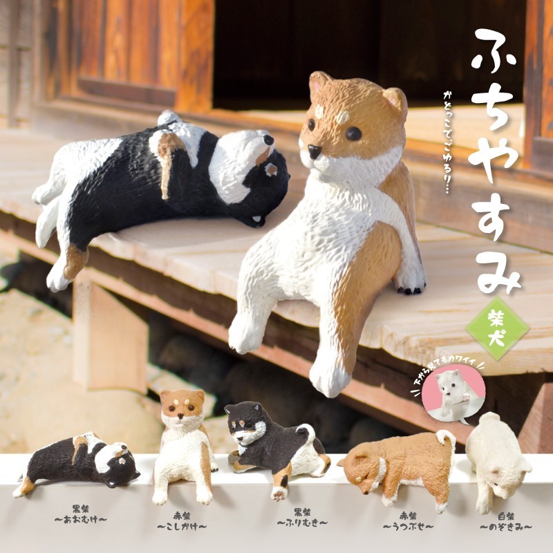 ふちやすみ　柴犬