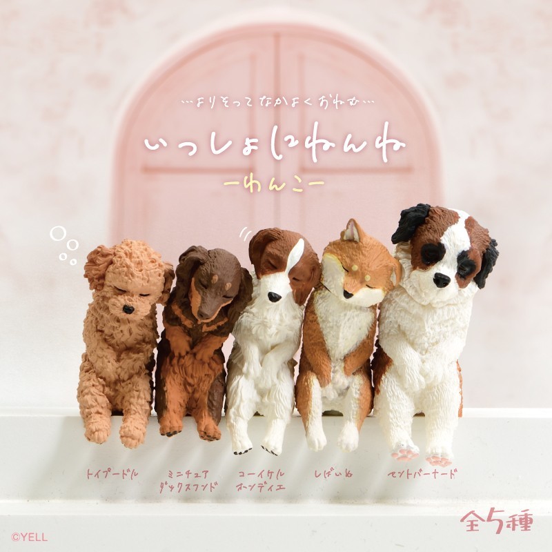 いっしょにねんね　わんこ