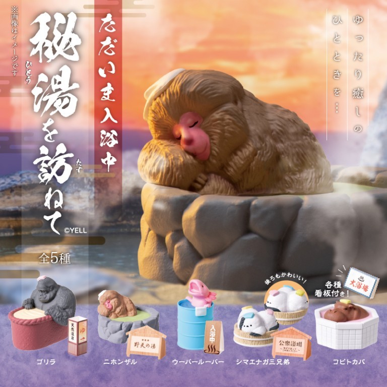 ただいま入浴中～秘湯を訪ねて～