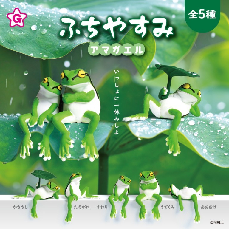 ふちやすみアマガエル