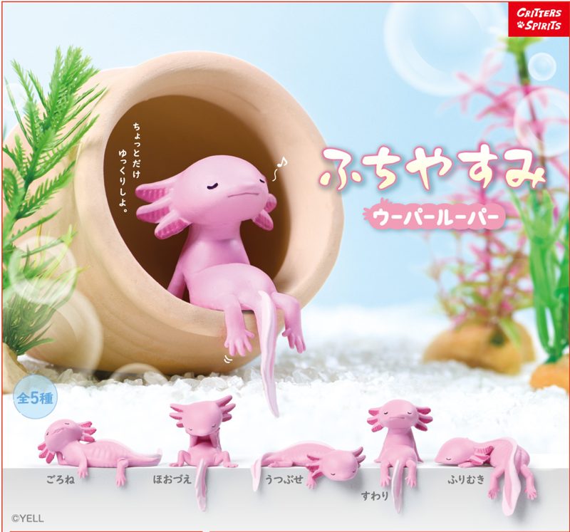 ふちやすみ　ウーパールーパー
