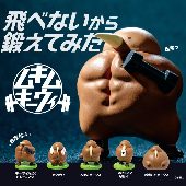 ムキムキーウィ