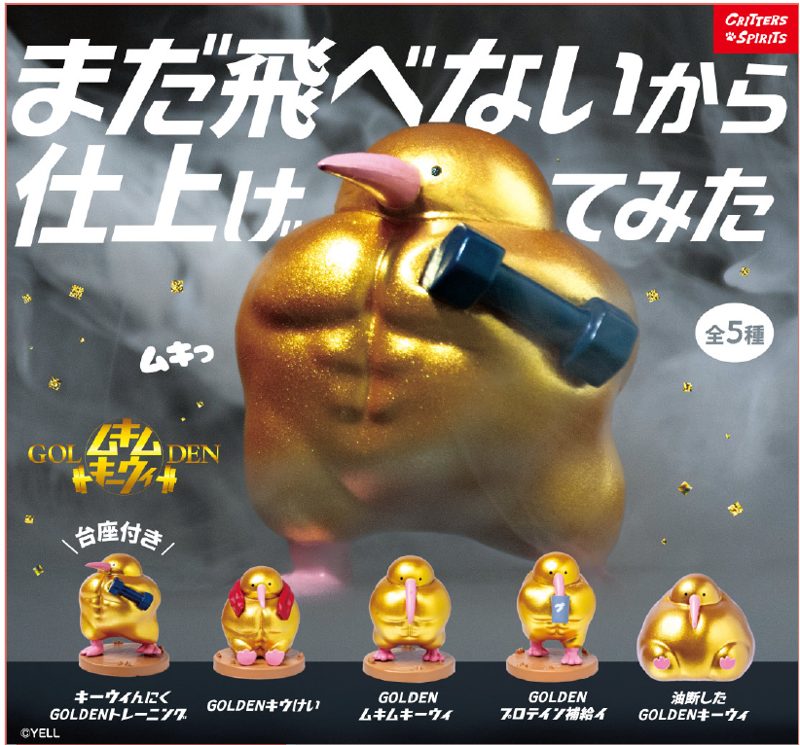 GOLDENムキムキーウィ