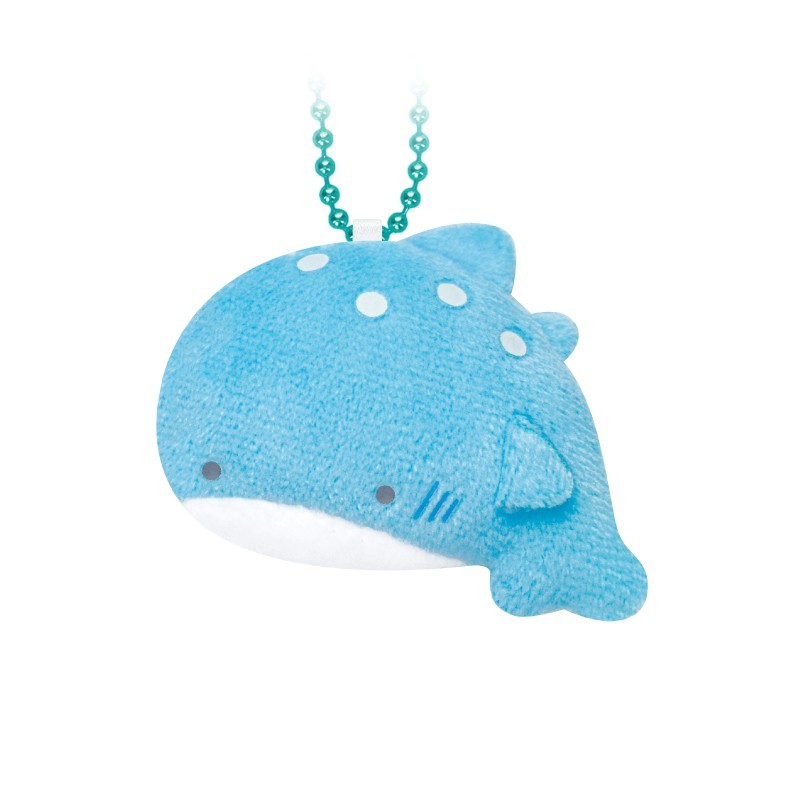 つぶらな瞳のぷち　じんべえざめ
