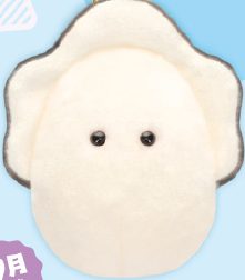 つぶらな瞳のぽてぷち　なまがき（K）