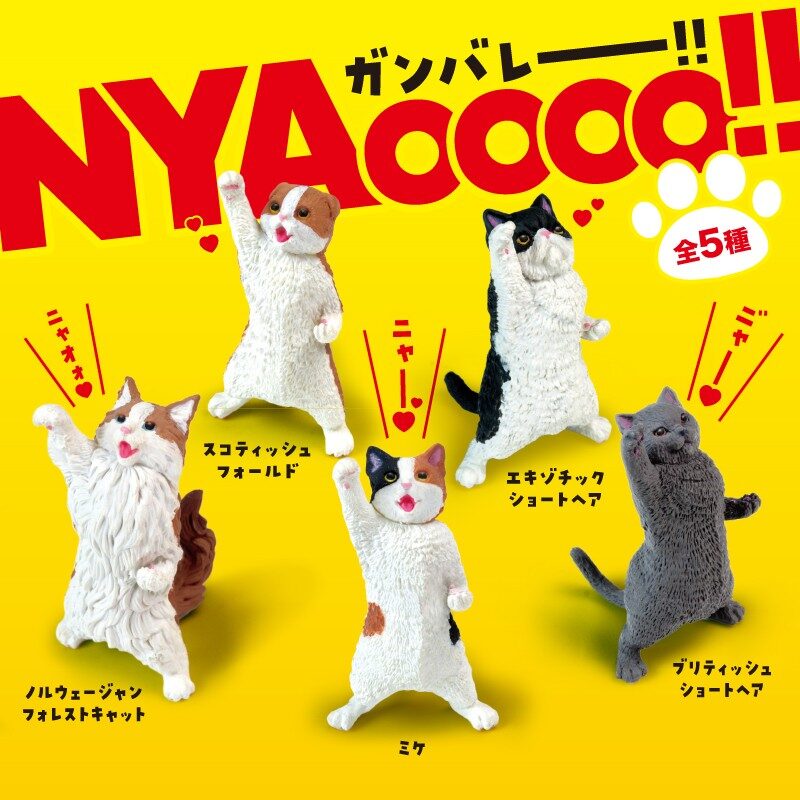 NYAoooo！！